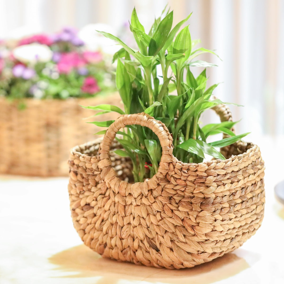 Buy Handwoven Baskets Online in India Pastiche by AK