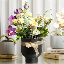 Load image into Gallery viewer, Black Pottery Planter