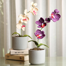 Load image into Gallery viewer, Crochet Orchid Flower