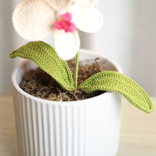 Load image into Gallery viewer, crochet orchid
