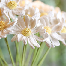 Load image into Gallery viewer, crochet white daisy