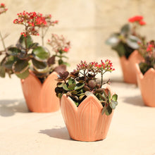 Load image into Gallery viewer, Flower Ceramic Planter