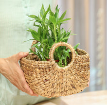 Load image into Gallery viewer, gift basket