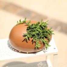 Load image into Gallery viewer, ceramic planter