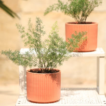 Load image into Gallery viewer, ceramic pots and planters