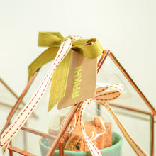 Load image into Gallery viewer, Glass Hut Terrarium, Gift Hamper Sets