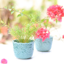 Load image into Gallery viewer, Embossed Ceramic Planters