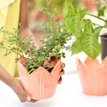 Load image into Gallery viewer, Flower Ceramic Planter