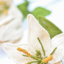 Load image into Gallery viewer, crochet lily flower