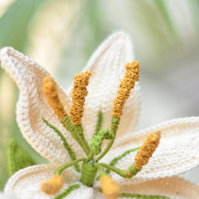 Load image into Gallery viewer, crochet lily flower