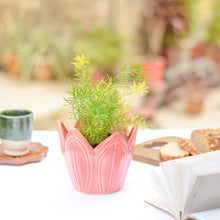Load image into Gallery viewer, Flower Ceramic Planter