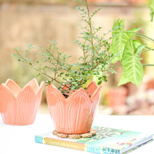Load image into Gallery viewer, Flower Ceramic Planter