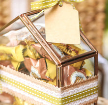 Load image into Gallery viewer, glass house box