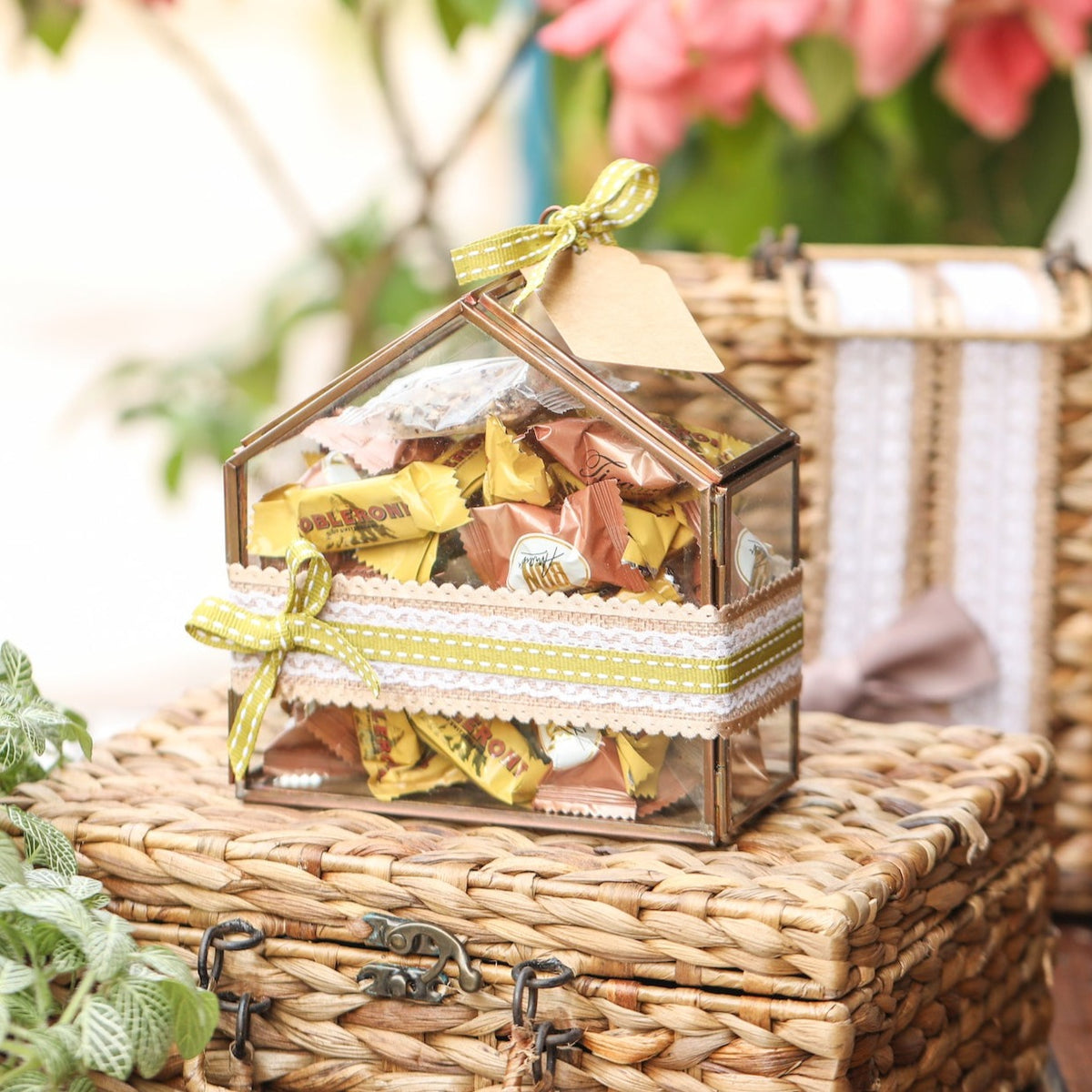 Glass House Box Versatile Decor & Gifting Solution Pastiche by AK