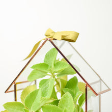 Load image into Gallery viewer, Glass Hut Terrarium, Copper Finish