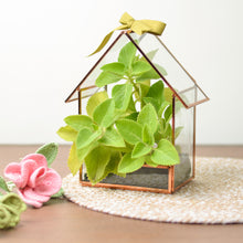 Load image into Gallery viewer, Glass Terrarium House, Front Angle