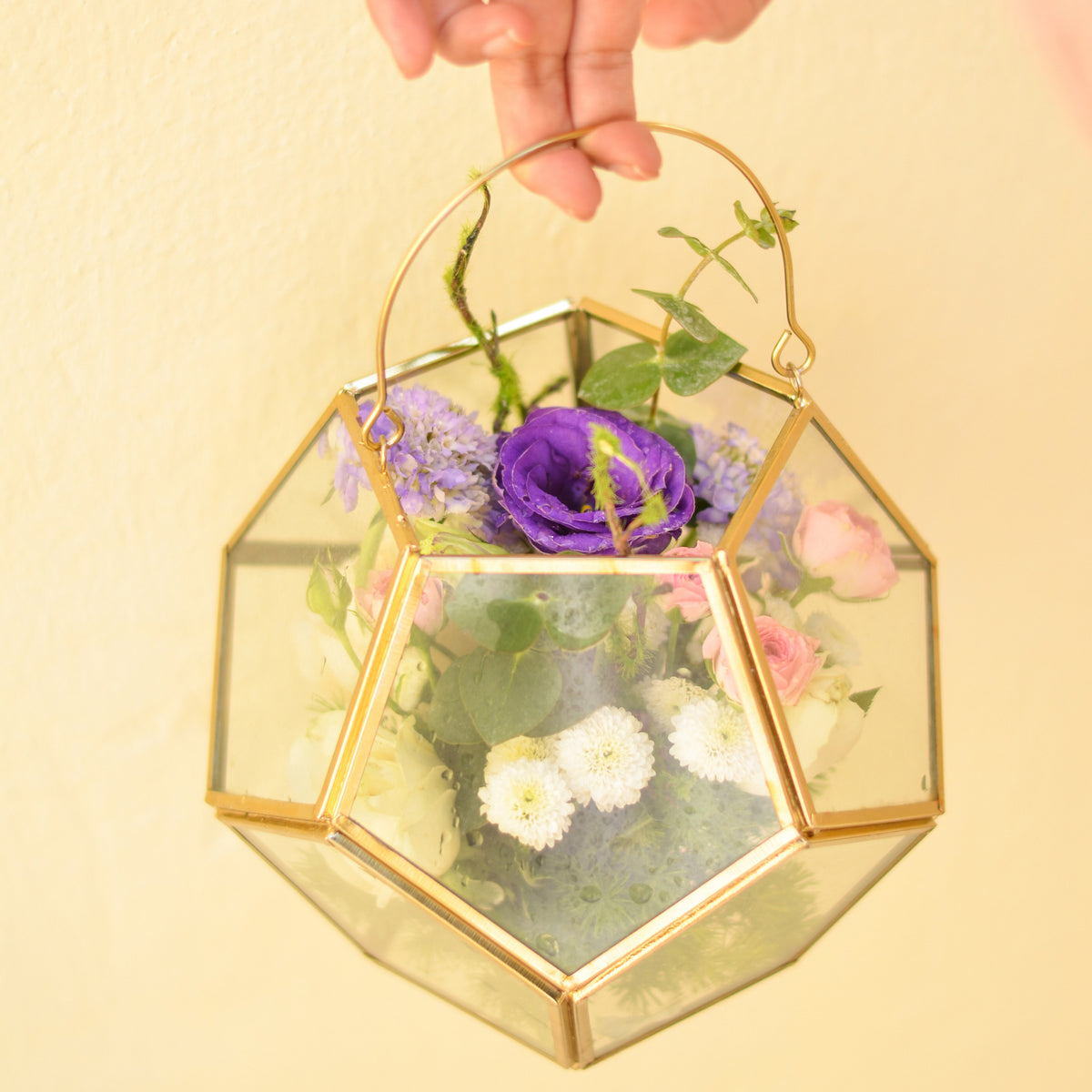 Glass Terrarium Pentagon Decorative Home Accent Pastiche by AK