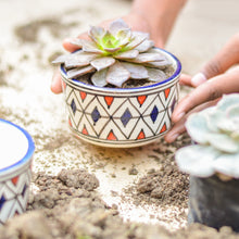 Load image into Gallery viewer, Succulent Ceramic Planter