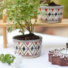 Load image into Gallery viewer, Succulent Ceramic Planter