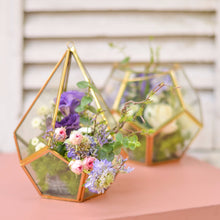 Load image into Gallery viewer, glass terrarium