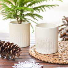Load image into Gallery viewer, ceramic white planter