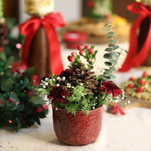 Load image into Gallery viewer, decorative ceramic planter 
