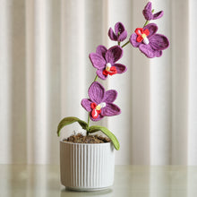Load image into Gallery viewer, orchid planter
