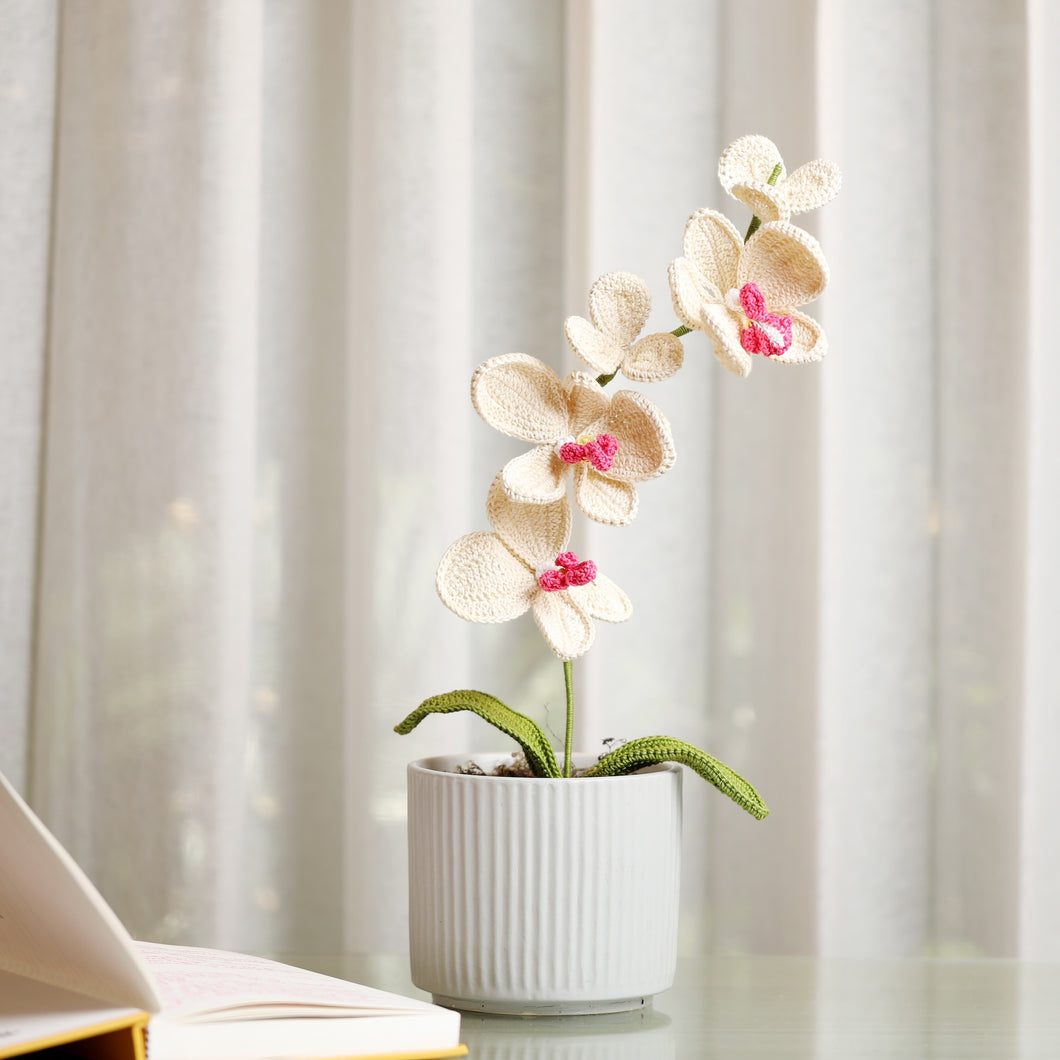 Crochet Orchid Flower