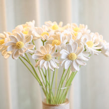 Load image into Gallery viewer, crochet white daisy
