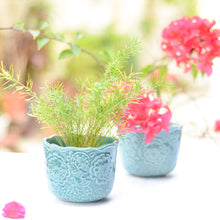 Load image into Gallery viewer, Embossed Ceramic Planters
