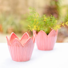Load image into Gallery viewer, Flower Ceramic Planter
