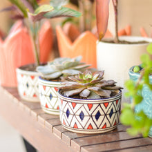 Load image into Gallery viewer, Succulent Ceramic Planter
