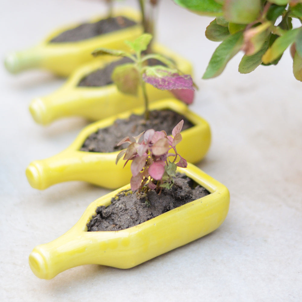 ceramic planters